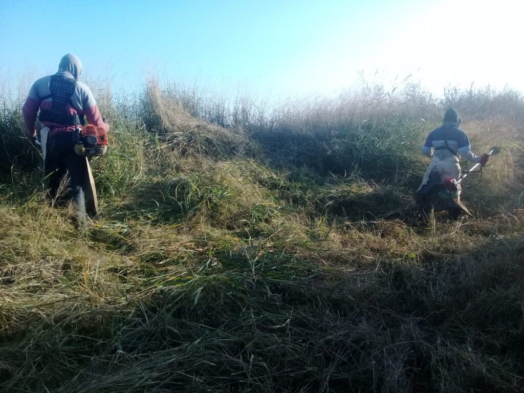 Operarios realizaron el desmalezamiento del desagüe del barrio Canal