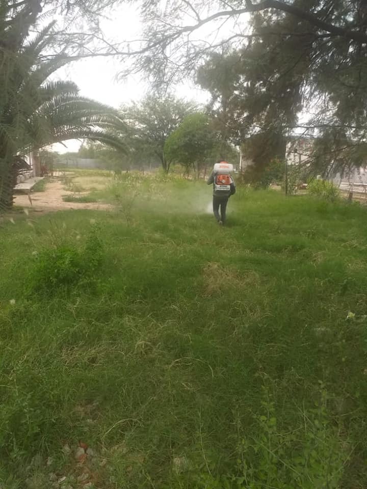 Despliegan operativos de prevención contra dengue y coronavirus en La Cañada
