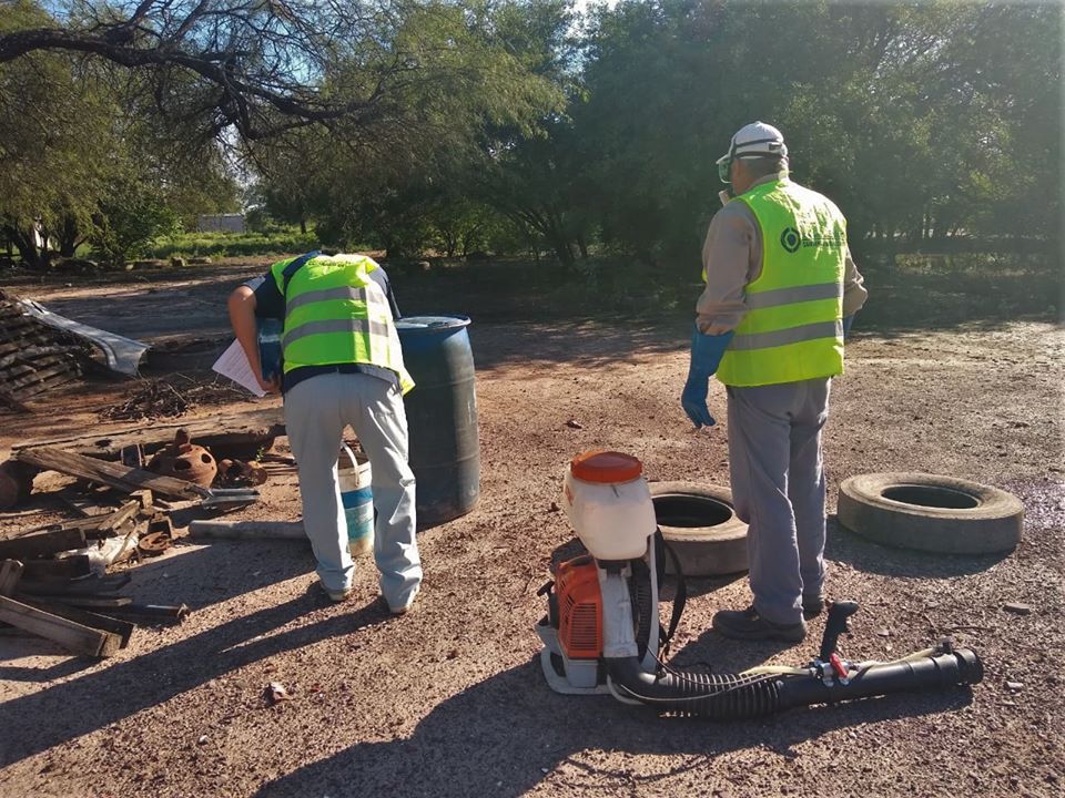 Son 934 los casos de dengue en la provincia y piden a colaborar con las medidas de prevención