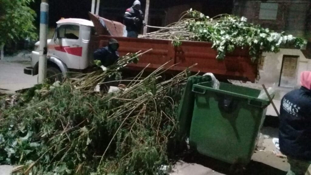 Piden a los bandeños no arrojar restos de poda en la vía pública