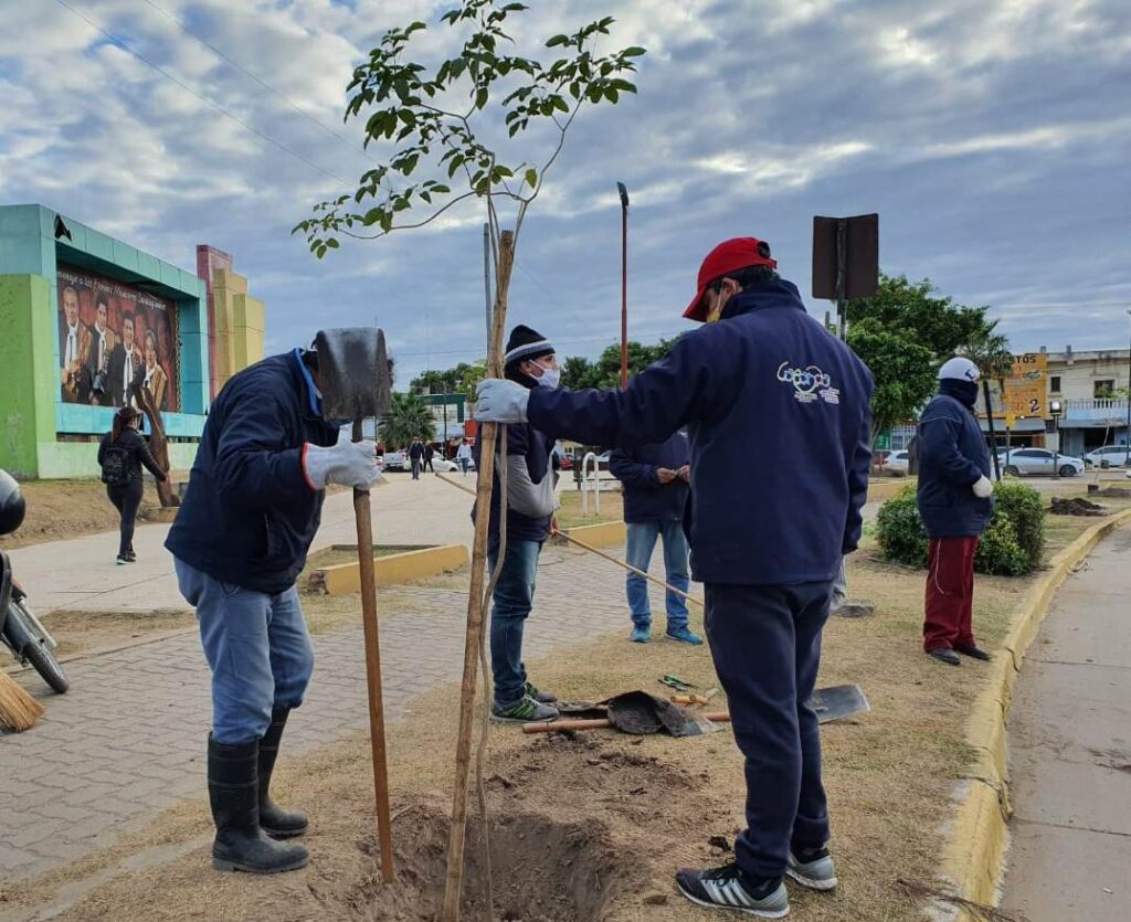 La Banda sumó lapachos y brachos a las calles de la ciudad