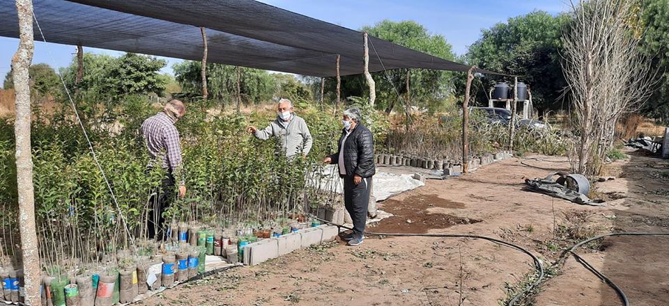 Municipios de Santiago y Catamarca intercambian mano de obra por plantas