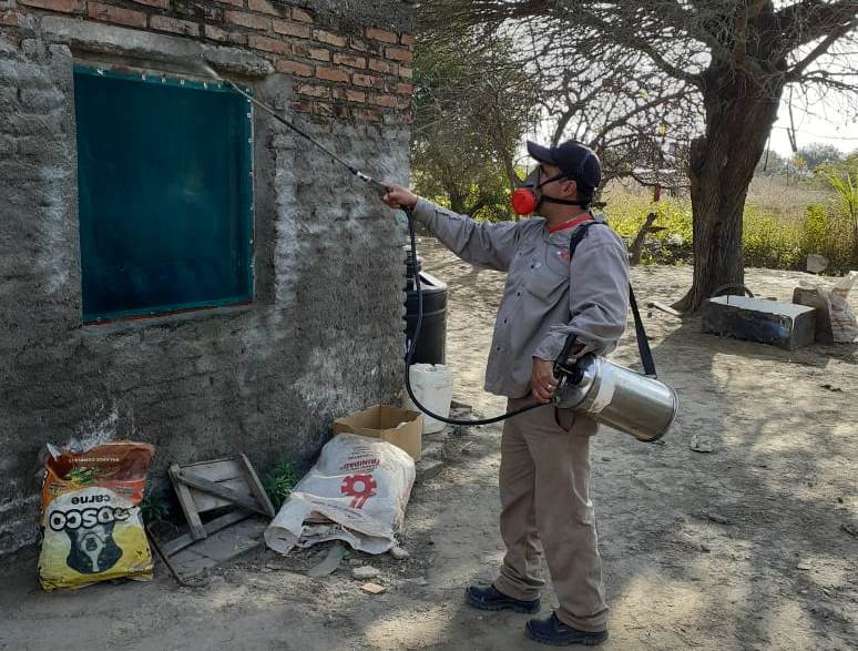 Intensifican la lucha contra el dengue y el Chagas en Antajé Intensifican la lucha contra el dengue y el Chagas en Antajé