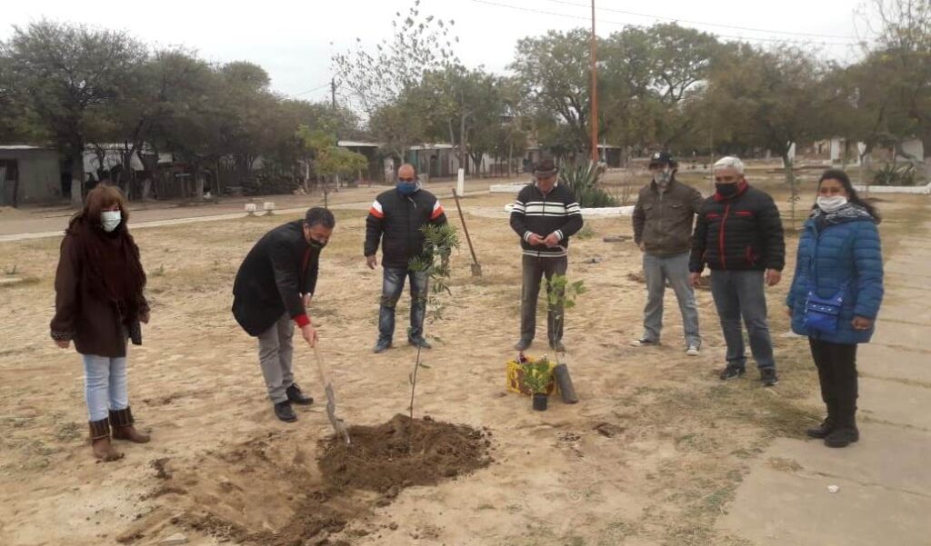 Forestarán espacios verdes de cuatro barrios de Clodomira