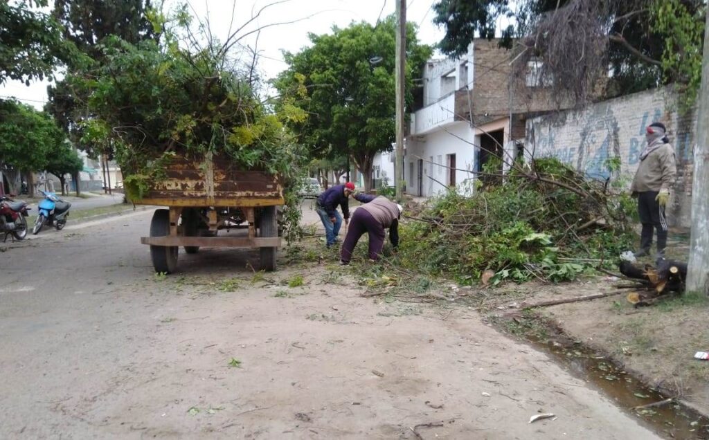 Multan a los vecinos que arrojan restos de poda en la vía pública
