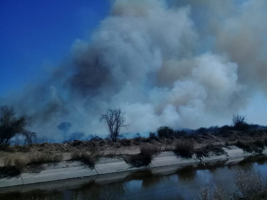 Sofocaron un incendio de pastizales en cercanías al barrio 750 Viviendas Sofocaron un incendio de pastizales en cercanías al barrio 750 Viviendas