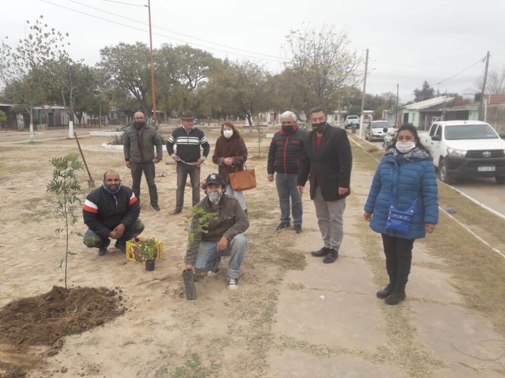 Clodomira: serán los niños los encargados de cuidar los árboles en las plazas Clodomira: serán los niños los encargados de cuidar los árboles en las plazas