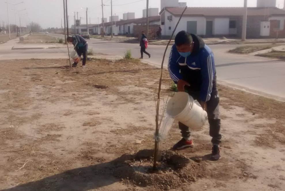 Nuevos lapachos rosados se plantaron en tres barrios bandeños Nuevos lapachos rosados se plantaron en tres barrios bandeños