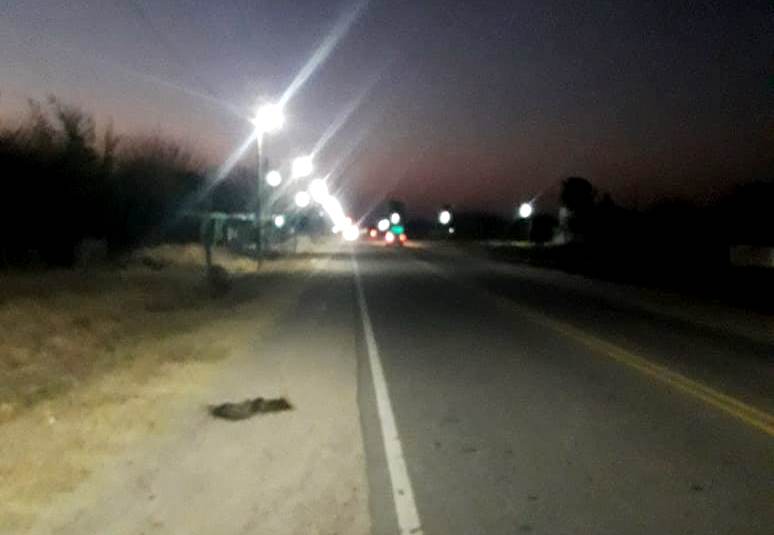 Continúa la ampliación y renovación del alumbrado público en Los Quiroga Continúa la ampliación y renovación del alumbrado público en Los Quiroga