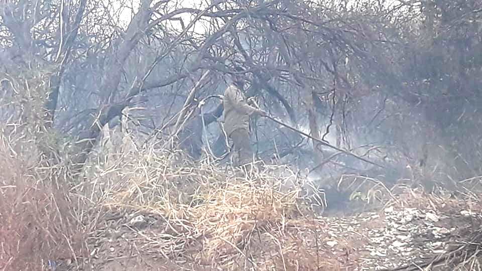Intensas tareas para sofocar incendios en Colonia Dora