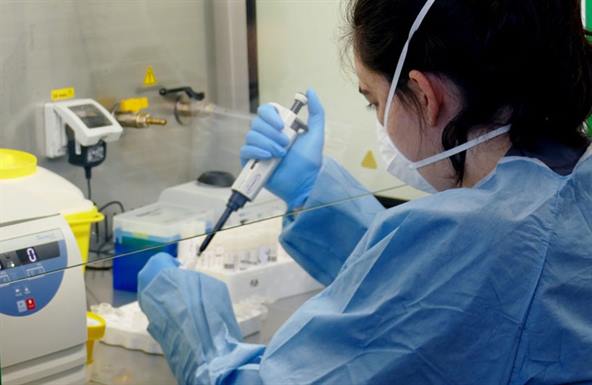 Dictarán un seminario sobre biología molecular Dictarán un seminario sobre biología molecular