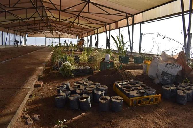El nuevo vivero de Frías se habilitará en las próximas semanas