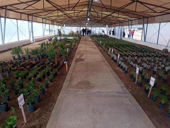 Frías habilitó su primer vivero municipal con grandes expectativas Frías habilitó su primer vivero municipal con grandes expectativas