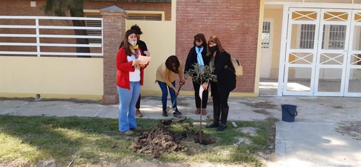Plantan árboles por los 130 años de Pinto y como símbolos de unidad Plantan árboles por los 130 años de Pinto y como símbolos de unidad