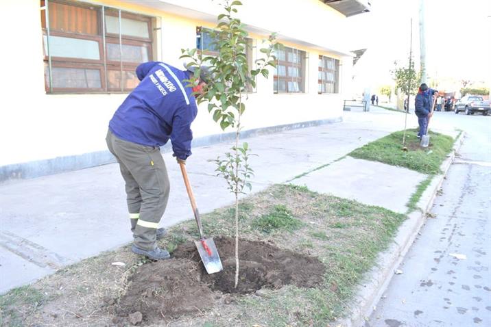 Entregarán árboles a los vecinos del barrio Ejército Argentino Entregarán árboles a los vecinos del barrio Ejército Argentino