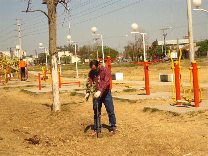 El plan de reforestación llegó al barrio 1° de Mayo