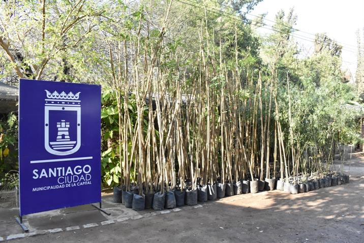 Vecinos de distintos barrios de la Capital podrán acceder a la entrega de árboles Vecinos de distintos barrios de la Capital podrán acceder a la entrega de árboles