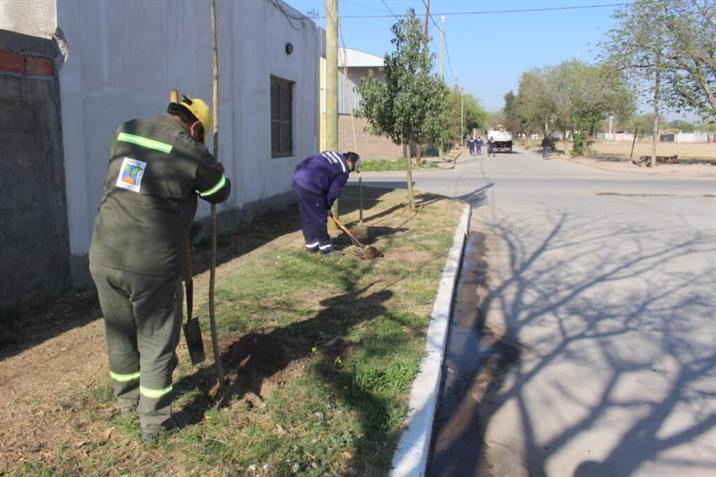 Plantarán más de 4 mil árboles en el barrio Santa Lucia Plantarán más de 4 mil árboles en el barrio Santa Lucia