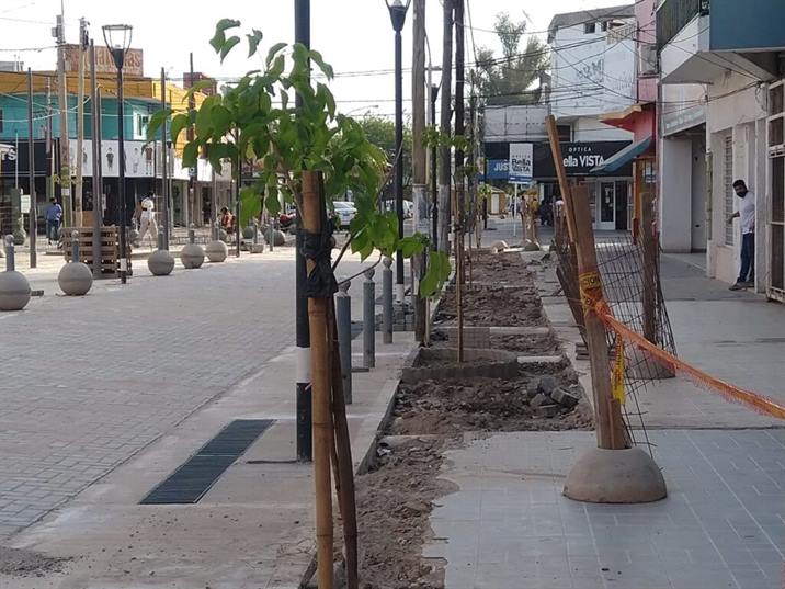 Plantaron lapachos rosados en uno de los puntos más transitados de La Banda Plantaron lapachos rosados en uno de los puntos más transitados de La Banda