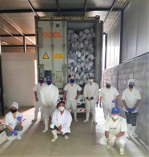 Ojo de Agua consolida la exportación de carne caprina Ojo de Agua consolida la exportación de carne caprina