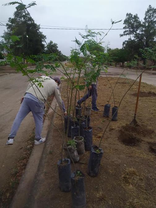 Un intendente promueve la reforestación: “Tuvimos 45°, plantemos árboles”