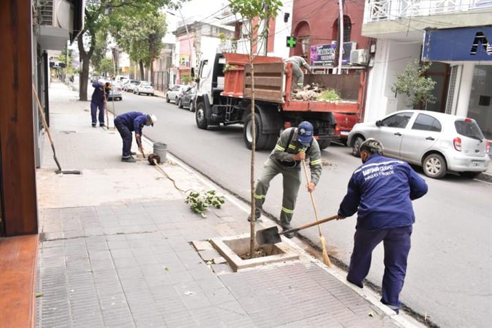 Se repusieron 300 especies arbóreas en el centro capitalino Se repusieron 300 especies arbóreas en el centro capitalino