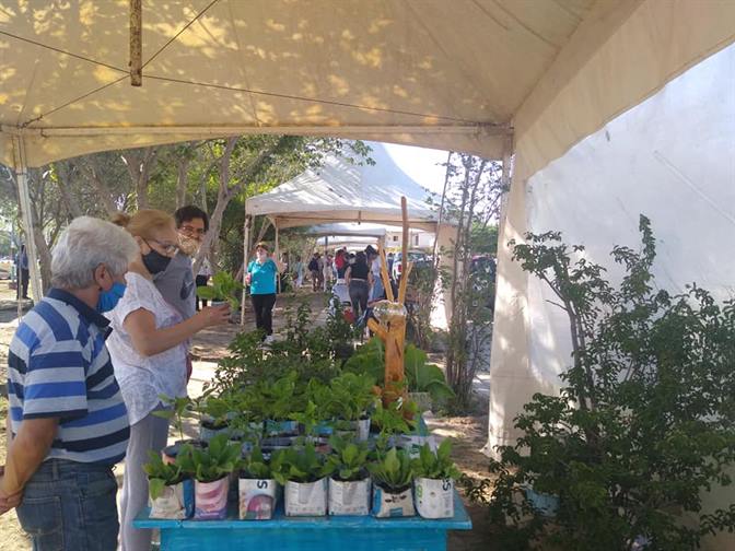 Termenses podrán comprar productos saludables y a precios accesibles