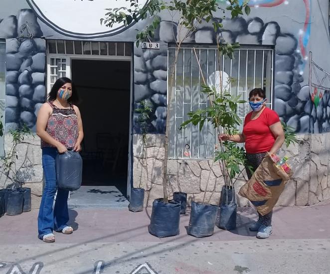Entregarán árboles a cambio de botellas en barrios capitalinos Entregarán árboles a cambio de botellas en barrios capitalinos