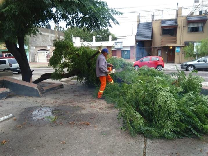 La comuna asistió a familias y retiró árboles derribados por la tormenta