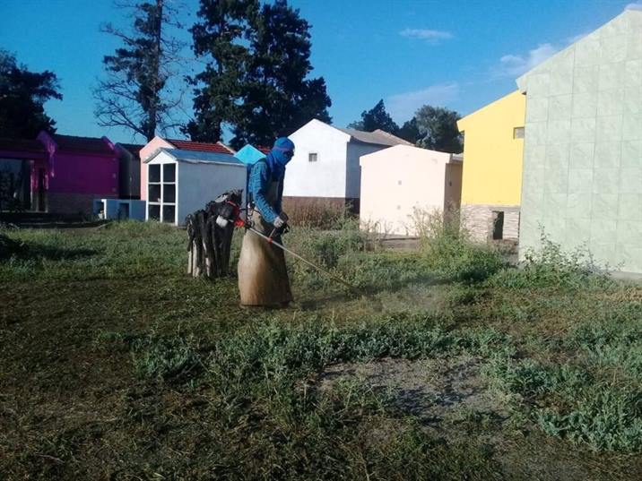 No cesa la lucha contra el dengue en Clodomira No cesa la lucha contra el dengue en Clodomira