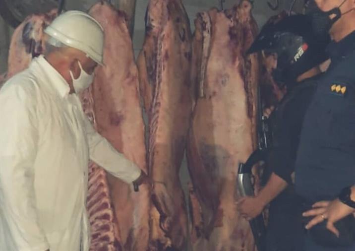 Secuestran vacas y caballos faenados, listos para la venta