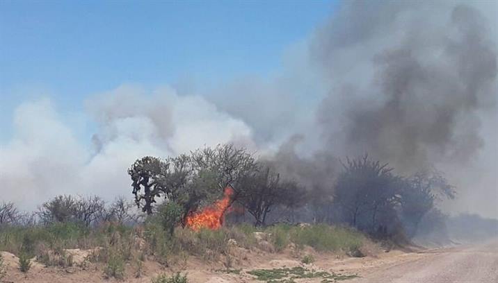 Voraz incendio consumió más de 35 hectáreas en Villa Hipólita Voraz incendio consumió más de 35 hectáreas en Villa Hipólita