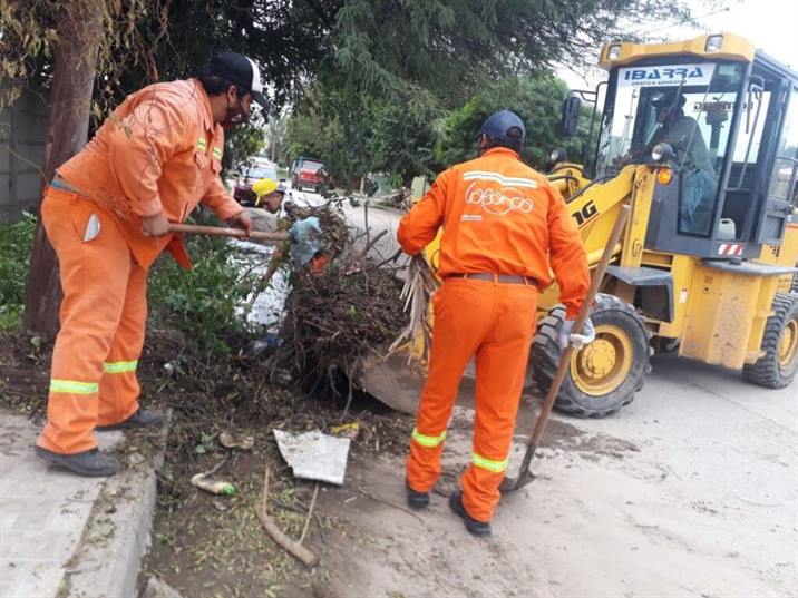 Amplio operativo de limpieza en el barrio Salido Amplio operativo de limpieza en el barrio Salido
