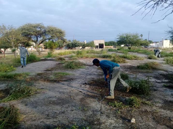 Ejecutan trabajos de limpieza en espacios públicos de Clodomira