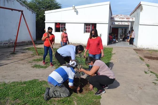 Colonia Dora sigue adelante con el programa “Plantando Memoria” Colonia Dora sigue adelante con el programa “Plantando Memoria”