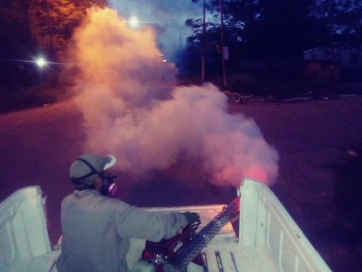 Intenso trabajo para controlar la proliferación de mosquitos en Clodomira