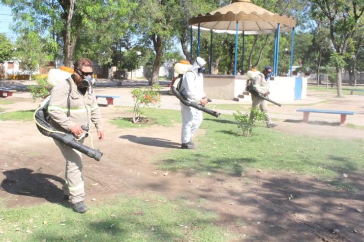 Incesante lucha contra los mosquitos en los barrios capitalinos Incesante lucha contra los mosquitos en los barrios capitalinos