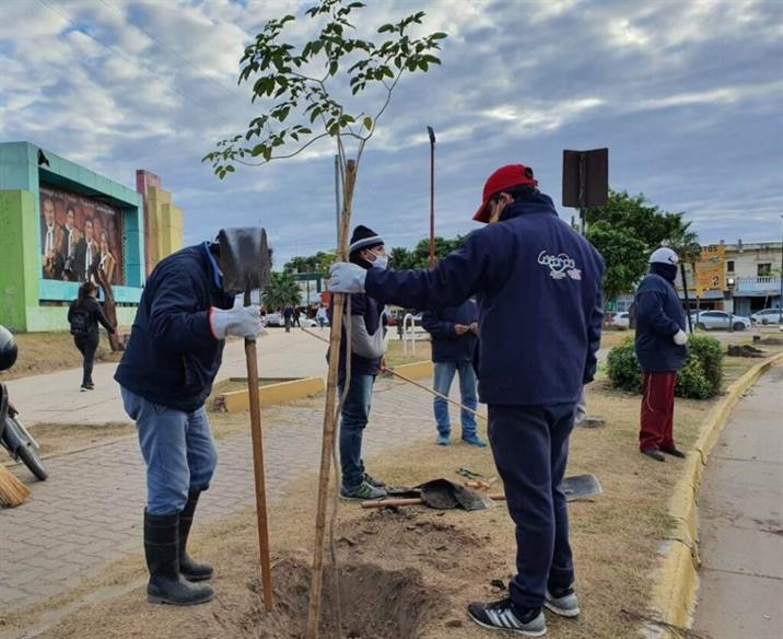 Colocarán 4 mil árboles para reducir el impacto de las temperaturas y embellecer La Banda