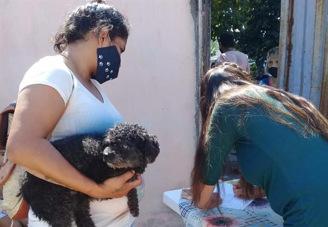 Fernández: Inscriben para un nuevo operativo de castración de mascotas
