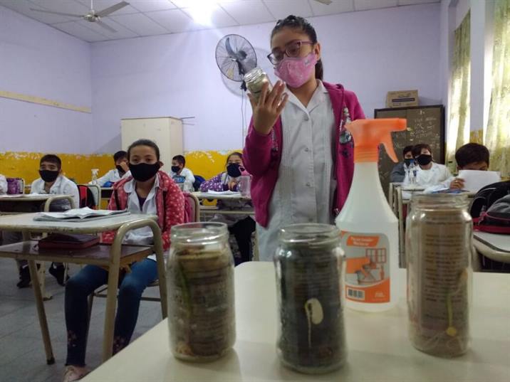 Clodomira: estudiantes participan en un proyecto de forestación urbana