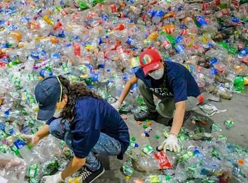 Recolectarán botellas para producir ladrillos ecológicos