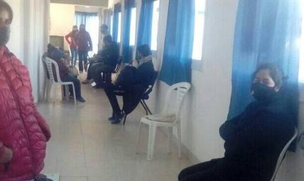 Decenas de perros y gatos fueron castrados gratuitamente en Loreto Decenas de perros y gatos fueron castrados gratuitamente en Loreto