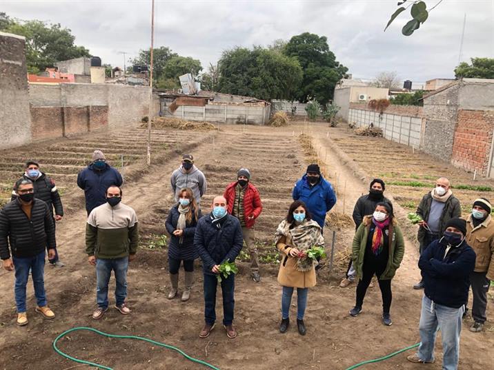 Estudiantes producirán alimentos en huertas y distribuirán en comedores