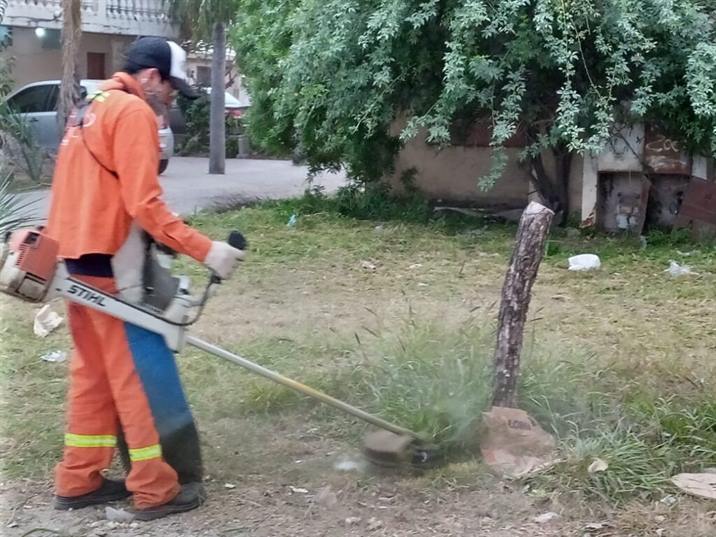 Municipales trabajan en la poda y rastrado en barrios bandeños