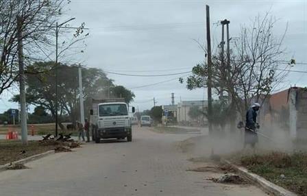 Municipales de San Pedro realizan tareas mejoras a la vera de la ruta N°157