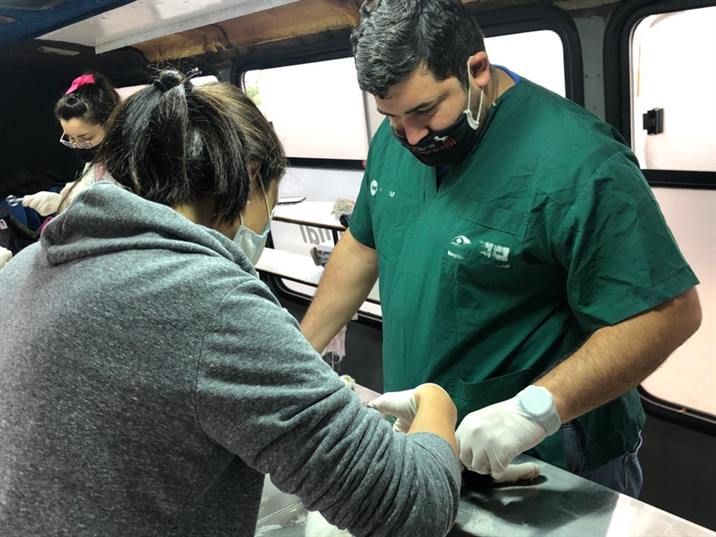 Nuevo operativo de castración de mascotas en barrios de La Banda