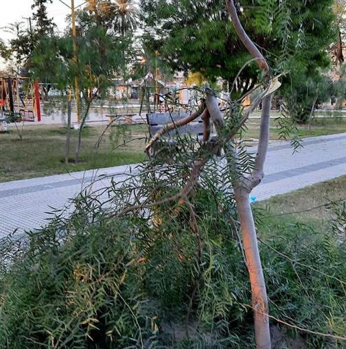 Vándalos en Fernández: El placer de destruir y los costos para la ciudad