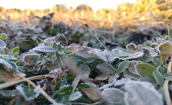 Frío récord: El inicio de invierno más helado de la historia