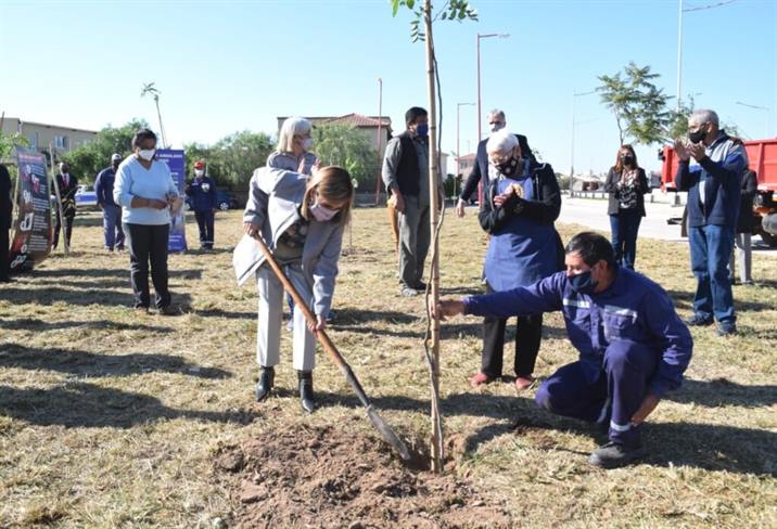 Plantarán 64 mil árboles durante todo el año en la ciudad Capital Plantarán 64 mil árboles durante todo el año en la ciudad Capital