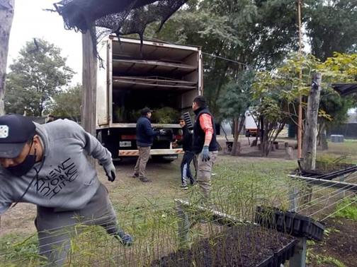 Termas vendió una importante cantidad de algarrobos blancos a Córdoba